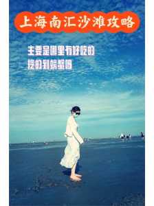 上海新场古镇一日游攻略?上海新场古镇一日游攻略路线? 第5张 上海新场古镇一日游攻略?上海新场古镇一日游攻略路线? 第5张