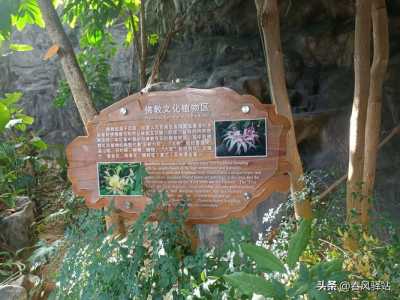 西安世博园一日游攻略?西安世博园好玩吗? 第3张 西安世博园一日游攻略?西安世博园好玩吗? 第3张