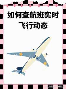 飞机到达时间实时查询,飞机到达时间实时查询航班动态? 第4张 飞机到达时间实时查询,飞机到达时间实时查询航班动态? 第4张