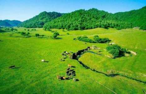 关山牧场景区电话号码,关山牧场景区服务电话 第3张 关山牧场景区电话号码,关山牧场景区服务电话 第3张