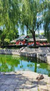 什刹海有什么好玩的,什刹海有什么好玩的好吃的? 第1张 什刹海有什么好玩的,什刹海有什么好玩的好吃的? 第1张