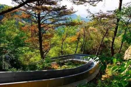 沂蒙山旅游攻略?沂蒙山旅游攻略路线推荐? 第1张 沂蒙山旅游攻略?沂蒙山旅游攻略路线推荐? 第1张