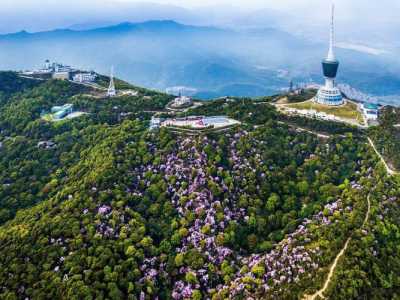 深圳旅游攻略景点大全,深圳旅游景点及门票费用? 第2张 深圳旅游攻略景点大全,深圳旅游景点及门票费用? 第2张