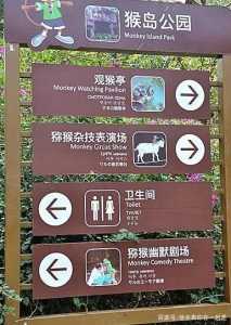 南湾猴岛门票优惠政策,南湾猴岛营业时间? 第4张 南湾猴岛门票优惠政策,南湾猴岛营业时间? 第4张