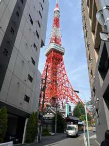 日本东京旅游景点介绍,日本东京的旅游攻略 第3张 日本东京旅游景点介绍,日本东京的旅游攻略 第3张