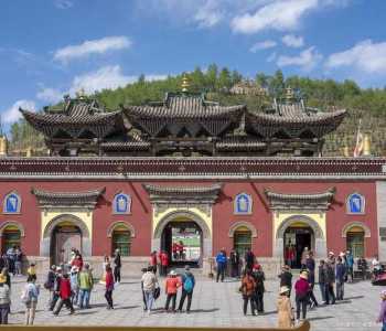 西宁塔尔寺简介?西宁塔尔寺简介图片大全? 第1张 西宁塔尔寺简介?西宁塔尔寺简介图片大全? 第1张