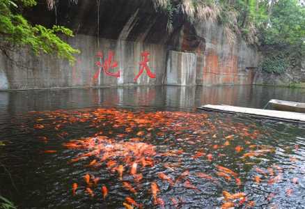 杭州去千岛湖一日游攻略,杭州去千岛湖一日游攻略路线图? 第4张 杭州去千岛湖一日游攻略,杭州去千岛湖一日游攻略路线图? 第4张