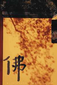 灵隐寺门票多少钱一张,灵隐寺门票多少钱一张?? 第1张 灵隐寺门票多少钱一张,灵隐寺门票多少钱一张?? 第1张