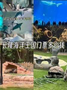长隆水上乐园门票多少钱,方特水上乐园门票多少钱一张 第2张 长隆水上乐园门票多少钱,方特水上乐园门票多少钱一张 第2张
