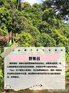普洱旅游景点排名,普洱旅游推荐 第4张 普洱旅游景点排名,普洱旅游推荐 第4张