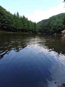洛阳天池山风景区,洛阳天池山风景区图片? 第3张 洛阳天池山风景区,洛阳天池山风景区图片? 第3张