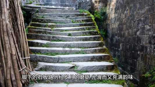 西塘旅游攻略住宿,西塘旅行攻略 第4张 西塘旅游攻略住宿,西塘旅行攻略 第4张