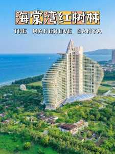 三亚湾红树林度假酒店,三亚湾红树林度假酒店怎么样? 第6张 三亚湾红树林度假酒店,三亚湾红树林度假酒店怎么样? 第6张