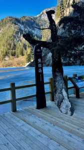 九寨沟旅游询问电话,九寨沟旅游服务电话 第4张 九寨沟旅游询问电话,九寨沟旅游服务电话 第4张