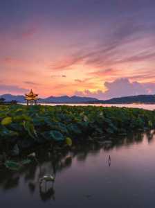 杭州西湖一日游跟团?杭州西湖一日游跟团150元? 第3张 杭州西湖一日游跟团?杭州西湖一日游跟团150元? 第3张