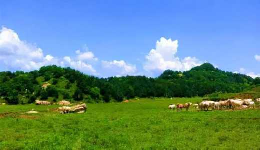 附近免费旅游景点,附近免费旅游景点推荐 自驾? 第3张 附近免费旅游景点,附近免费旅游景点推荐 自驾? 第3张