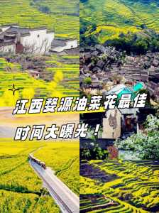 婺源油菜花最佳时间2021,婺源油菜花最佳时间2024年? 第3张 婺源油菜花最佳时间2021,婺源油菜花最佳时间2024年? 第3张