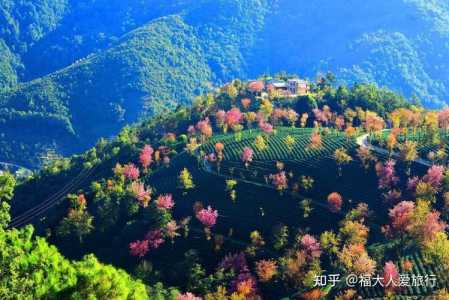 12月国内最佳旅游地方,12月国内旅游推荐? 第1张 12月国内最佳旅游地方,12月国内旅游推荐? 第1张