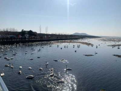 威海有什么好玩的地方景点推荐,威海有什么好玩的地方景点推荐免费去刘公岛花钱吗? 第3张 威海有什么好玩的地方景点推荐,威海有什么好玩的地方景点推荐免费去刘公岛花钱吗? 第3张