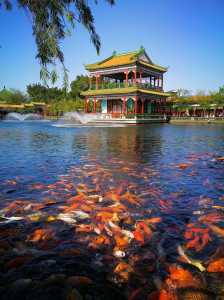 广州宝墨园景点介绍?广州宝墨园景点介绍图片? 第5张 广州宝墨园景点介绍?广州宝墨园景点介绍图片? 第5张