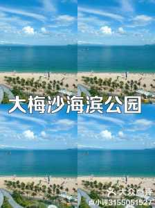 深圳大梅沙海滨公园图片,深圳大梅沙海滩图片? 第1张 深圳大梅沙海滨公园图片,深圳大梅沙海滩图片? 第1张