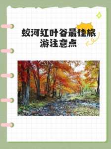 长白山红叶谷最佳时间?吉林长白山红叶谷美景的时间? 第4张 长白山红叶谷最佳时间?吉林长白山红叶谷美景的时间? 第4张