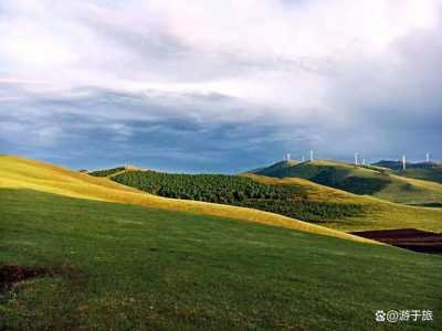 坝上草原和张北草原哪个更好,张北坝上草原怎么样? 第2张 坝上草原和张北草原哪个更好,张北坝上草原怎么样? 第2张