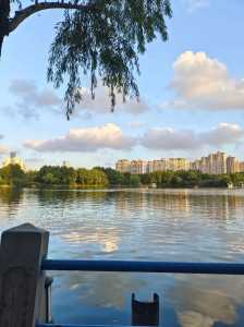 上海长风公园景点介绍,上海长风公园地址及门票?? 第1张 上海长风公园景点介绍,上海长风公园地址及门票?? 第1张