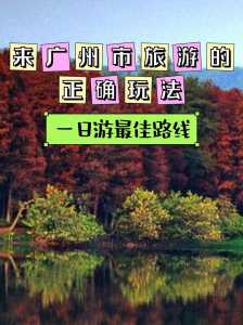 广州一日游最佳路线,广州一日游最佳路线图 第3张 广州一日游最佳路线,广州一日游最佳路线图 第3张