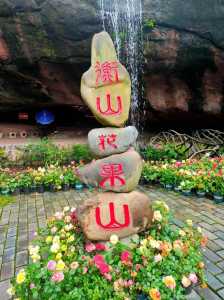 湖南南岳衡山旅游攻略,湖南南岳衡山景区 第6张 湖南南岳衡山旅游攻略,湖南南岳衡山景区 第6张