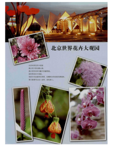 世界花卉大观园官方网站?世界花卉大观园官方网站入口? 第2张 世界花卉大观园官方网站?世界花卉大观园官方网站入口? 第2张