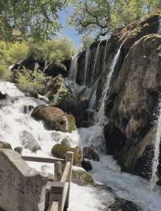 九寨沟旅游时间最佳,九寨沟旅行最佳时间? 第3张 九寨沟旅游时间最佳,九寨沟旅行最佳时间? 第3张