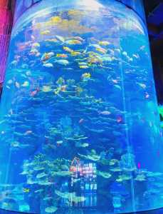 济南海洋极地海洋世界,济南海洋极地海洋世界门票2024? 第1张 济南海洋极地海洋世界,济南海洋极地海洋世界门票2024? 第1张
