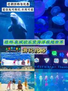 济南海洋极地海洋世界,济南海洋极地海洋世界门票2024? 第3张 济南海洋极地海洋世界,济南海洋极地海洋世界门票2024? 第3张