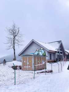 西岭雪山门票多少钱一张,西岭雪山门票多少钱一张小孩多少? 第3张 西岭雪山门票多少钱一张,西岭雪山门票多少钱一张小孩多少? 第3张