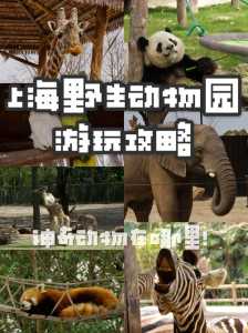 上海野生动物园值得去吗,上海野生动物园旅游必看攻略? 第1张 上海野生动物园值得去吗,上海野生动物园旅游必看攻略? 第1张