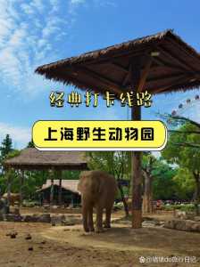 上海野生动物园值得去吗,上海野生动物园旅游必看攻略? 第2张 上海野生动物园值得去吗,上海野生动物园旅游必看攻略? 第2张