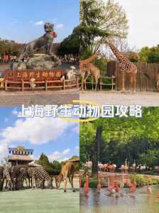 上海野生动物园值得去吗,上海野生动物园旅游必看攻略? 第3张 上海野生动物园值得去吗,上海野生动物园旅游必看攻略? 第3张
