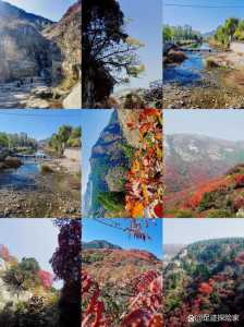 济南红叶谷门票,济南红叶谷门票是多少 第2张 济南红叶谷门票,济南红叶谷门票是多少 第2张