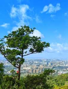 深圳凤凰山公园?深圳凤凰山公园简介? 第1张 深圳凤凰山公园?深圳凤凰山公园简介? 第1张