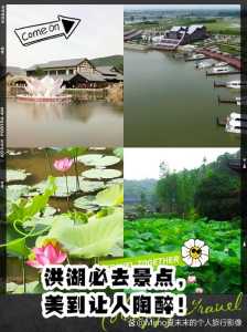 洪湖旅游景点大全?洪湖旅游景点大全视频? 第2张 洪湖旅游景点大全?洪湖旅游景点大全视频? 第2张