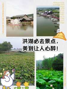 洪湖旅游景点大全?洪湖旅游景点大全视频? 第4张 洪湖旅游景点大全?洪湖旅游景点大全视频? 第4张