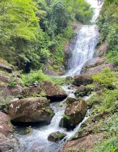 从化小镇旅游景点大全排名,从化好玩的小镇 第2张 从化小镇旅游景点大全排名,从化好玩的小镇 第2张