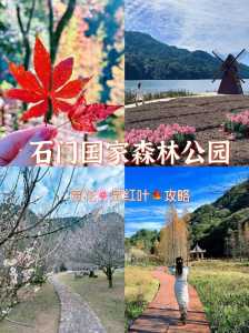 从化小镇旅游景点大全排名,从化好玩的小镇 第3张 从化小镇旅游景点大全排名,从化好玩的小镇 第3张