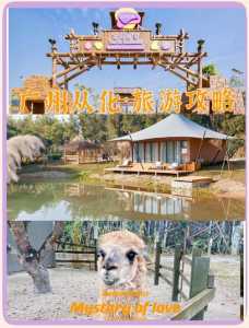 从化小镇旅游景点大全排名,从化好玩的小镇 第5张 从化小镇旅游景点大全排名,从化好玩的小镇 第5张