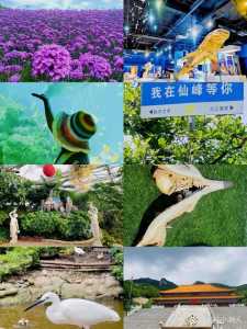 大连市有什么好玩的旅游景点,大连有那些好玩的景点? 第1张 大连市有什么好玩的旅游景点,大连有那些好玩的景点? 第1张
