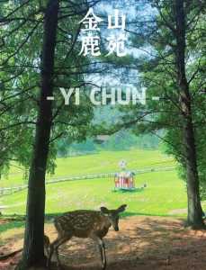 伊春漂流哪里比较好玩?伊春漂流比较好的地方? 第4张 伊春漂流哪里比较好玩?伊春漂流比较好的地方? 第4张