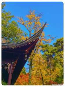 南京旅游景点有哪些好玩的地方,南京旅游值得去的景点 第2张 南京旅游景点有哪些好玩的地方,南京旅游值得去的景点 第2张