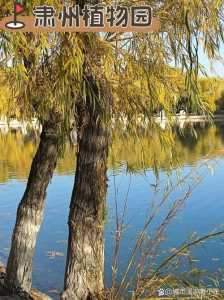 酒泉市区景点必去哪里?酒泉最出名的三个景点? 第2张 酒泉市区景点必去哪里?酒泉最出名的三个景点? 第2张