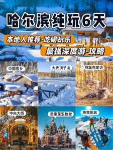 哈尔滨旅游团报价查询,哈尔滨旅游团五天四晚游费用 第2张 哈尔滨旅游团报价查询,哈尔滨旅游团五天四晚游费用 第2张